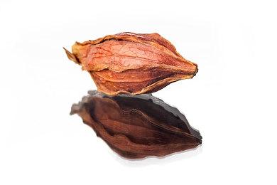 《地心护核者》Switch版宣布延期 9月17日发售